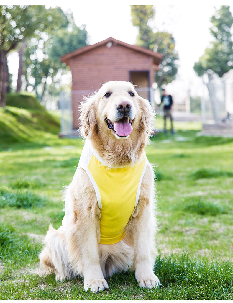 Big Dog Vest Spring and Summer Thin Breathable Golden Hair Samo Pet Two-legged T-shirt Sweater Medium Large Dog Clothes