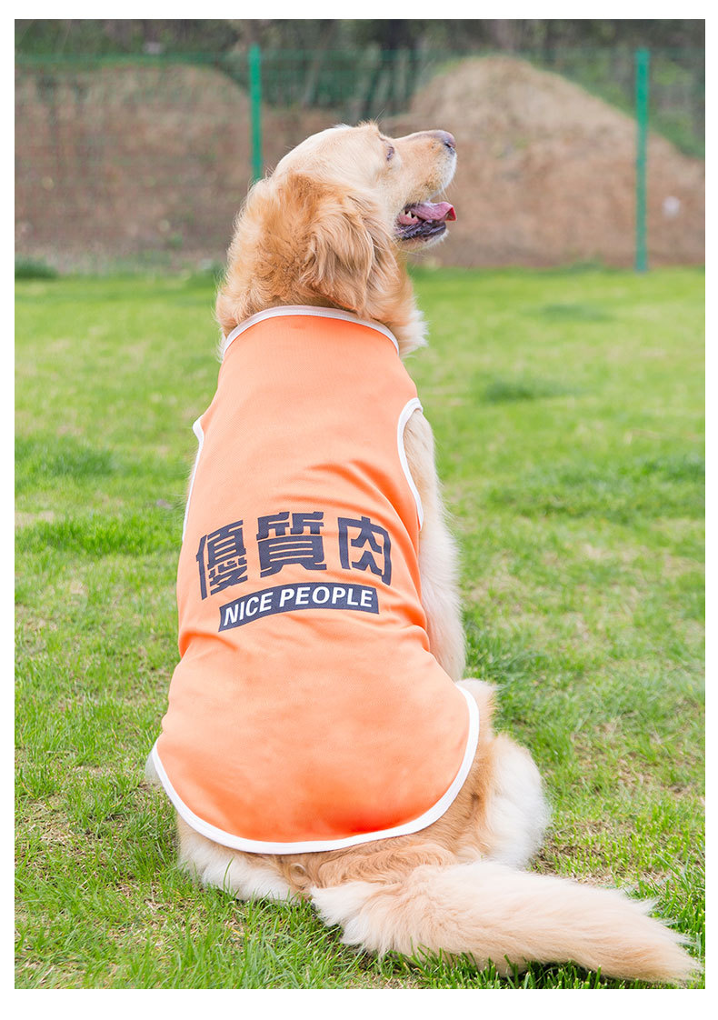 Big Dog Vest Spring and Summer Thin Breathable Golden Hair Samo Pet Two-legged T-shirt Sweater Medium Large Dog Clothes
