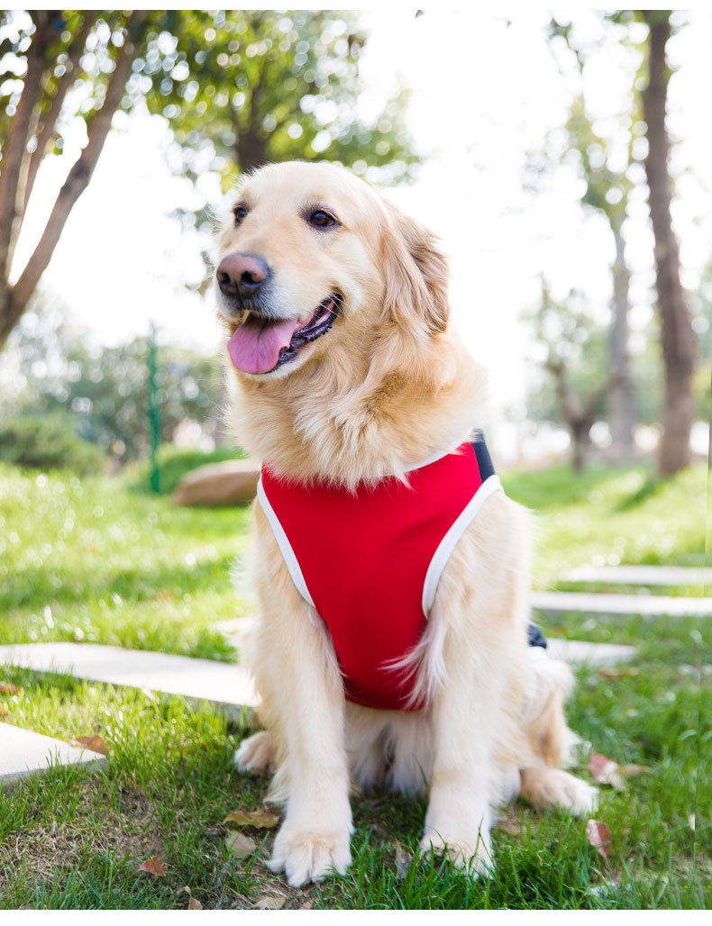 Big Dog Vest Spring and Summer Thin Breathable Golden Hair Samo Pet Two-legged T-shirt Sweater Medium Large Dog Clothes