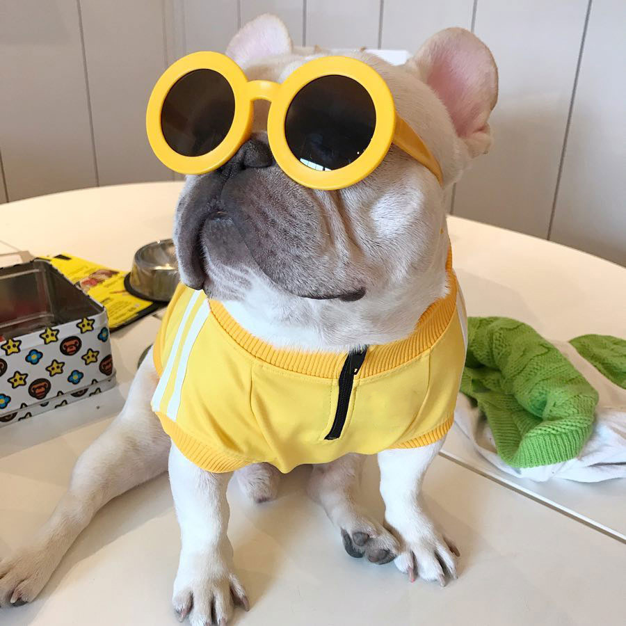 Keji Schenery Fadou Pet Popular Brand Three Bars Dog Pattern Sweater Spoof Autumn and Winter Sports Dog Clothes