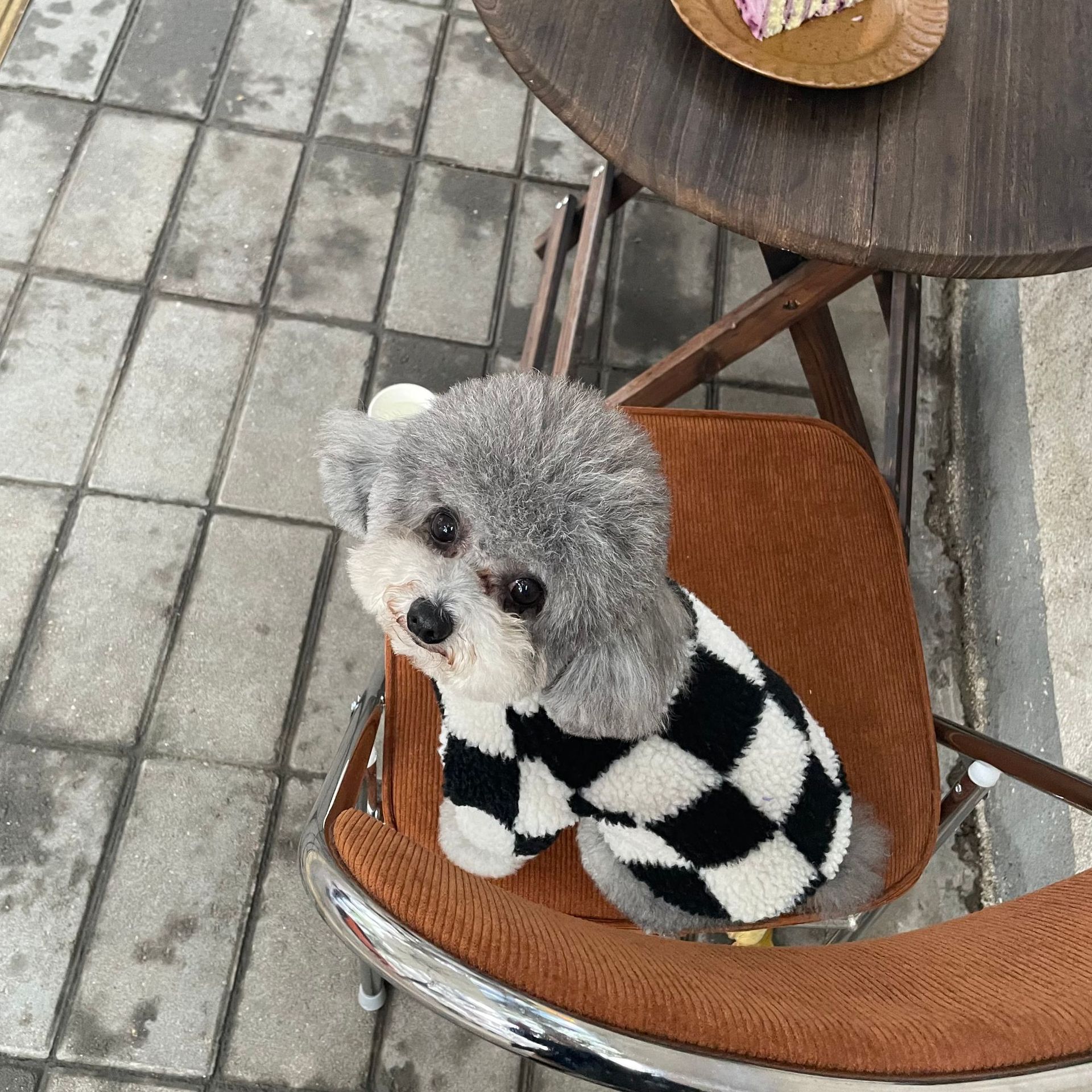 Autumn and Winter Dog Clothes Wholesale Chessboard Grid Bichon Teddy Schnauzer Cat Fur Coat Pet Dog Dog Sweater