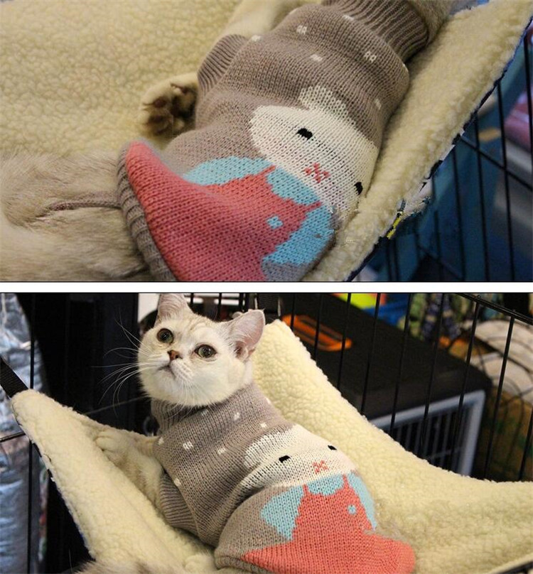 Pet Clothes Dog Sweater Autumn and Winter New Two-Legged Pet Clothes Warm Small Sweater Cat Dog Clothes