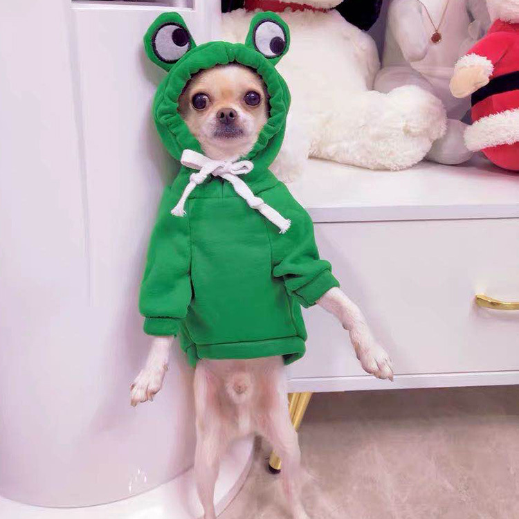 Fruit Transformation Dog Cat Small Medium Large Dog Autumn Winter Sweater Fleece Clothing Supplies Pet Teddy Jarre Aero Bull