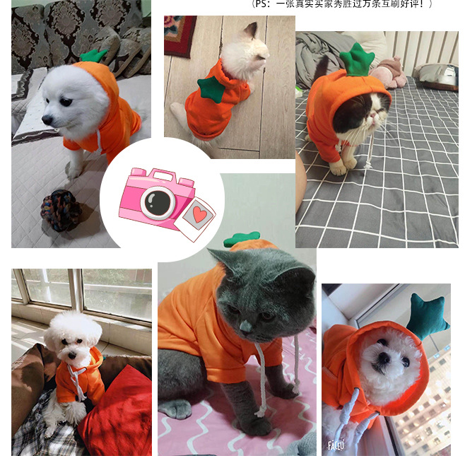 Fruit Transformation Dog Cat Small Medium Large Dog Autumn Winter Sweater Fleece Clothing Supplies Pet Teddy Jarre Aero Bull