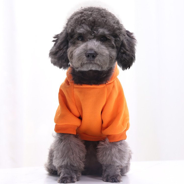 Autumn and Winter Sweater Denim Pocket Two-legged Clothes Sporty Pet Clothes Dog Cat Clothes Pet Supplies