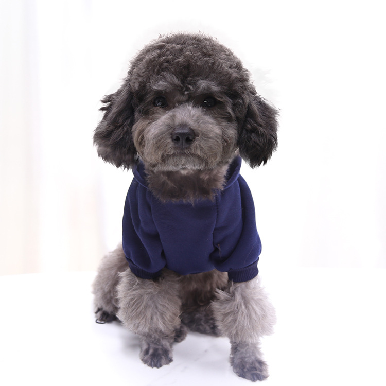 Autumn and Winter Sweater Denim Pocket Two-legged Clothes Sporty Pet Clothes Dog Cat Clothes Pet Supplies