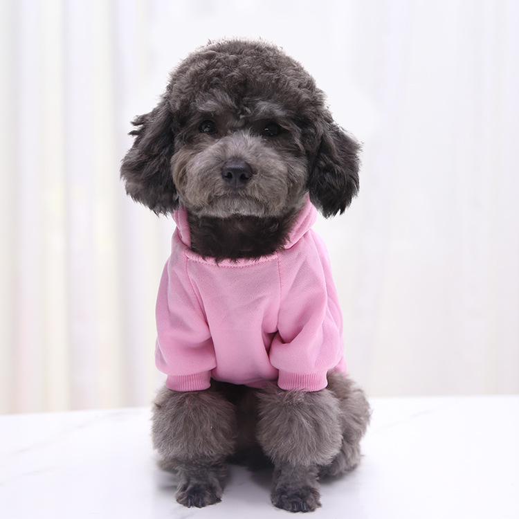 Autumn and Winter Sweater Denim Pocket Two-legged Clothes Sporty Pet Clothes Dog Cat Clothes Pet Supplies