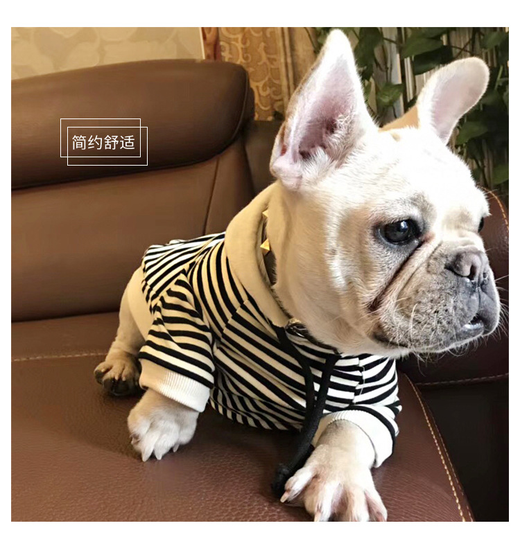 2020 Spring New Dog Terry Sweater Teddy Small Dog Fashion Brand Clothes Adult Pet Casual Parent-Child Clothes