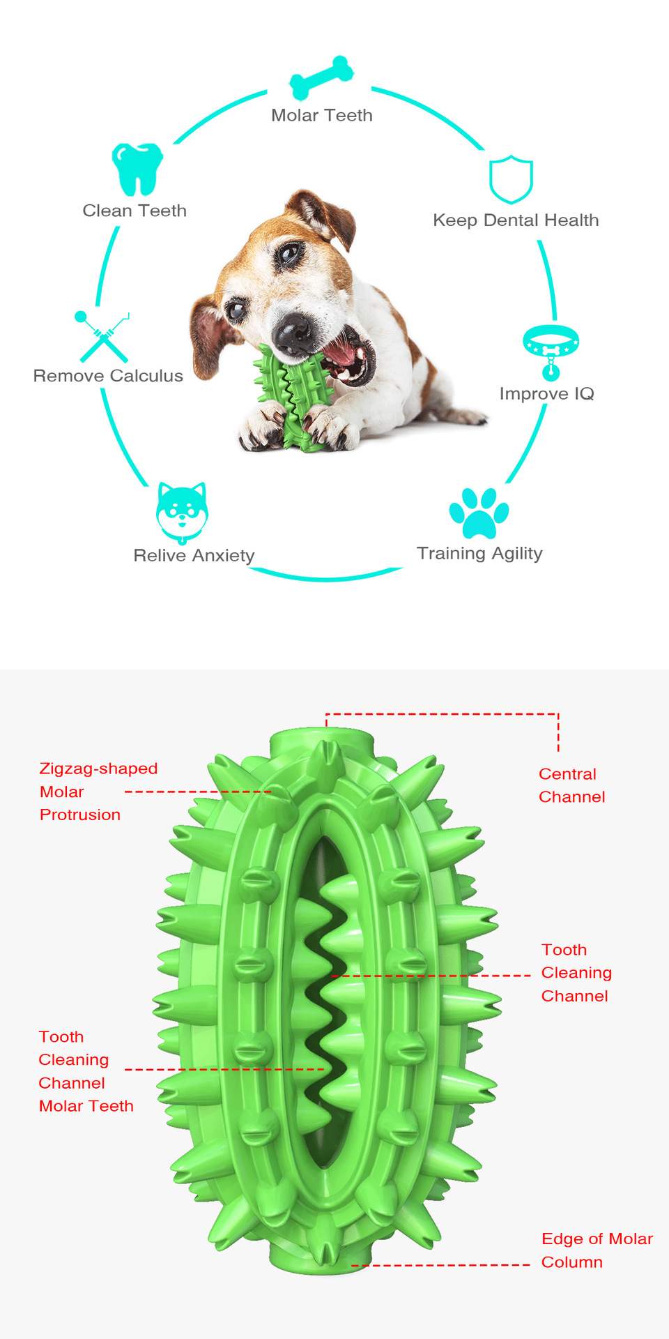 Pet Supplies New Amazon Hot Hot Sale Dog Toys Cactus Molar Rod Toothbrush Dog Chew Toys Pet Supplies New Amazon Hot Hot Sale Dog Toys Cactus Molar Rod Toothbrush Dog Chew Toys