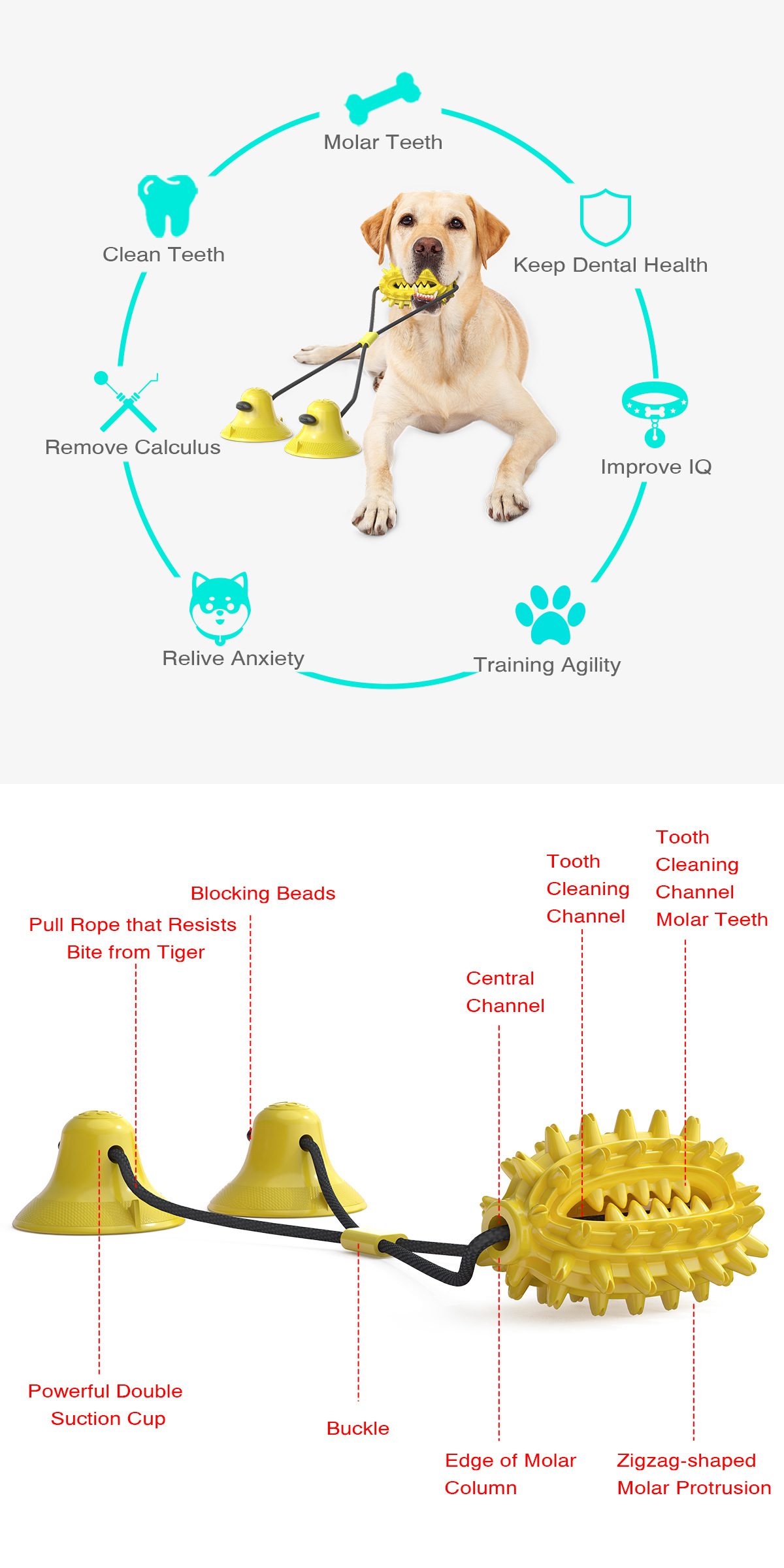 Pet Supplies New Amazon Hot Hot Sale Dog Toy Double Suction Cup Cactus Molar Rod Dog Chew