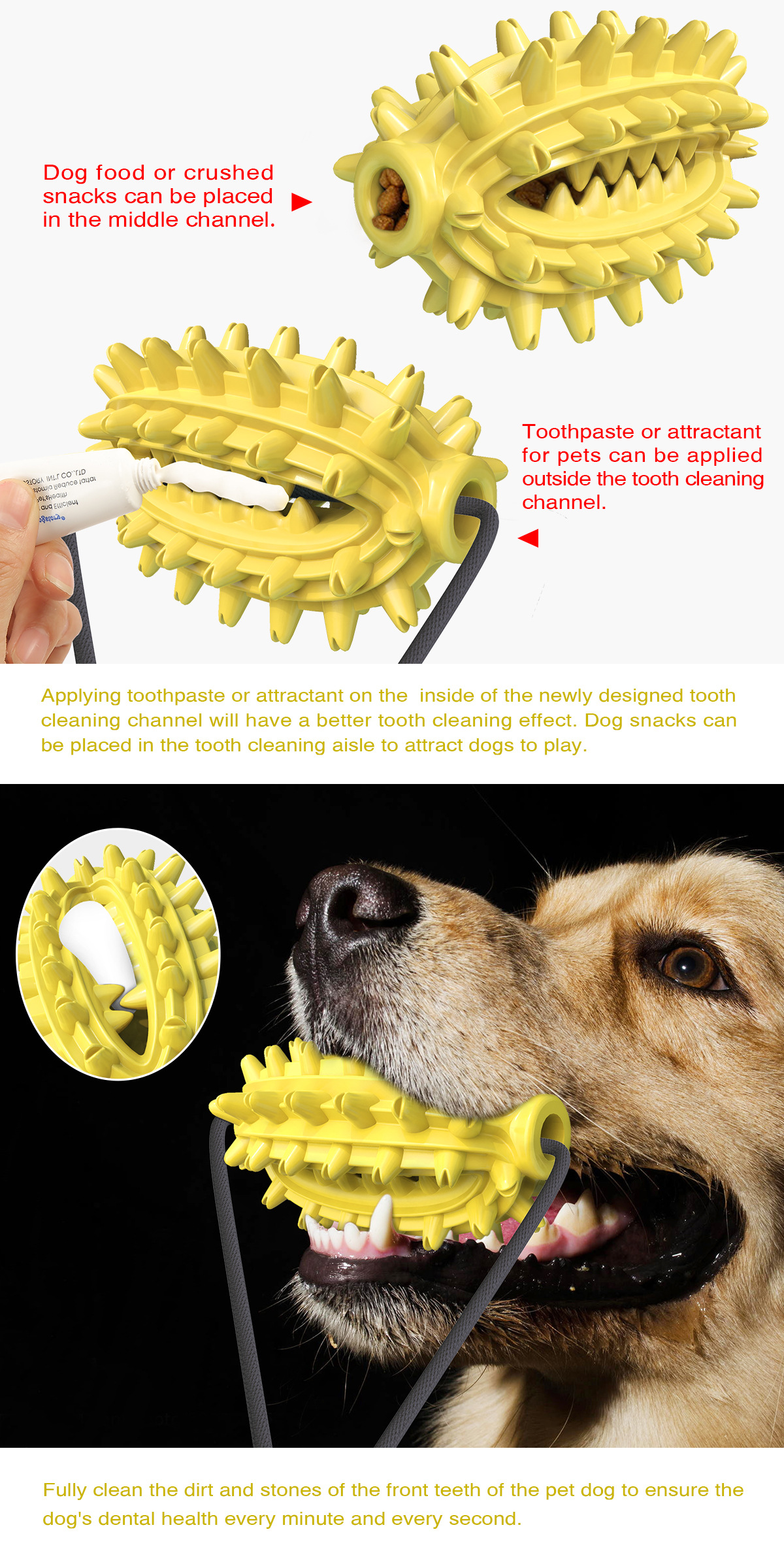 Pet Supplies New Amazon Hot Hot Sale Dog Toy Double Suction Cup Cactus Molar Rod Dog Chew
