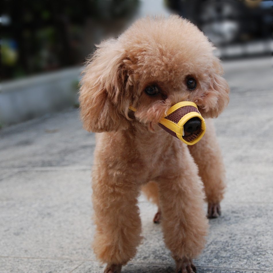 Cross-Border Currently Available Muzzle Dog Pet Anti-Bite Grid Pet Muzzle Your Dog Bark-Stop Muzzle