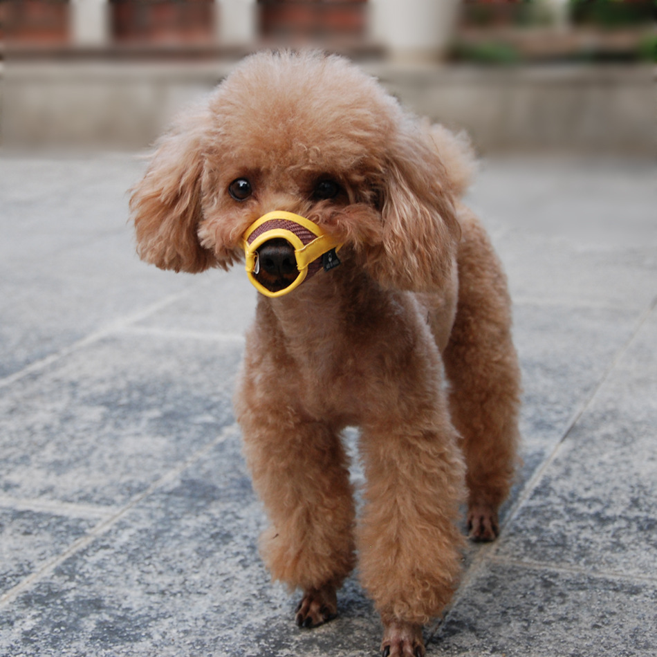 Cross-Border Currently Available Muzzle Dog Pet Anti-Bite Grid Pet Muzzle Your Dog Bark-Stop Muzzle