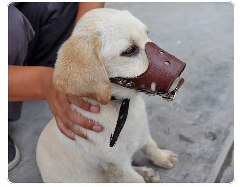 Dog Mouth Cover Dog Mask Anti-Bite Cover Medium Large Dog Anti-Bark Artifact Teddy/Golden Retriever Labrador Safety Muzzle Dog Mouth Cover Dog Mask Anti-Bite Cover Medium Large Dog Anti-Bark Artifact Teddy/Golden Retriever Labrador Safety Muzzle