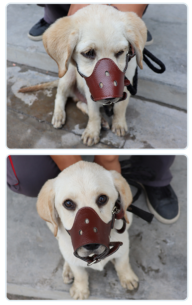 Dog Mouth Cover Dog Mask Anti-Bite Cover Medium Large Dog Anti-Bark Artifact Teddy/Golden Retriever Labrador Safety Muzzle Dog Mouth Cover Dog Mask Anti-Bite Cover Medium Large Dog Anti-Bark Artifact Teddy/Golden Retriever Labrador Safety Muzzle