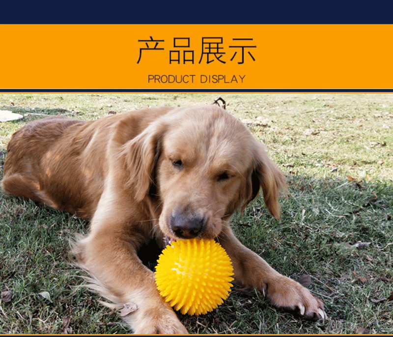 Cross-Border Hot Sale Pet Supplies Bite Vocal Toy Ball Dog Bite-Resistant Elastic Ball Dog Bite Toy Acanthosphere