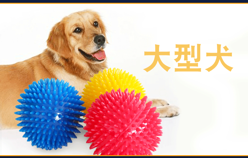 Cross-Border Hot Sale Pet Supplies Bite Vocal Toy Ball Dog Bite-Resistant Elastic Ball Dog Bite Toy Acanthosphere