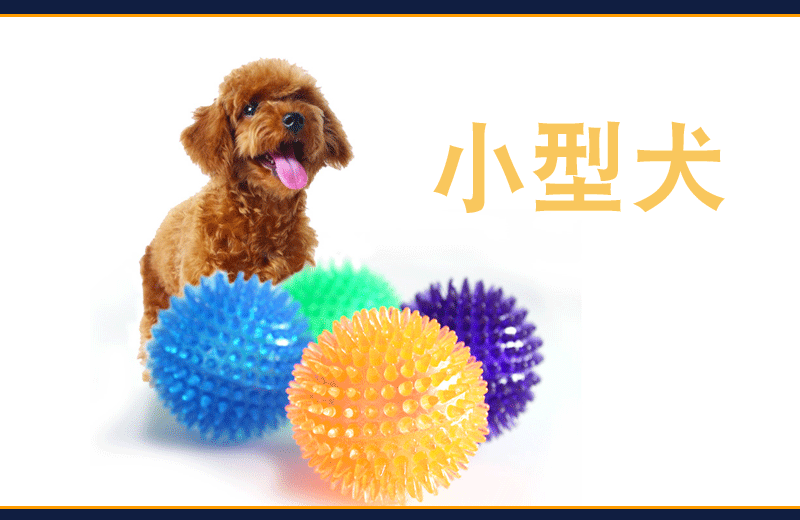 Cross-Border Hot Sale Pet Supplies Bite Vocal Toy Ball Dog Bite-Resistant Elastic Ball Dog Bite Toy Acanthosphere