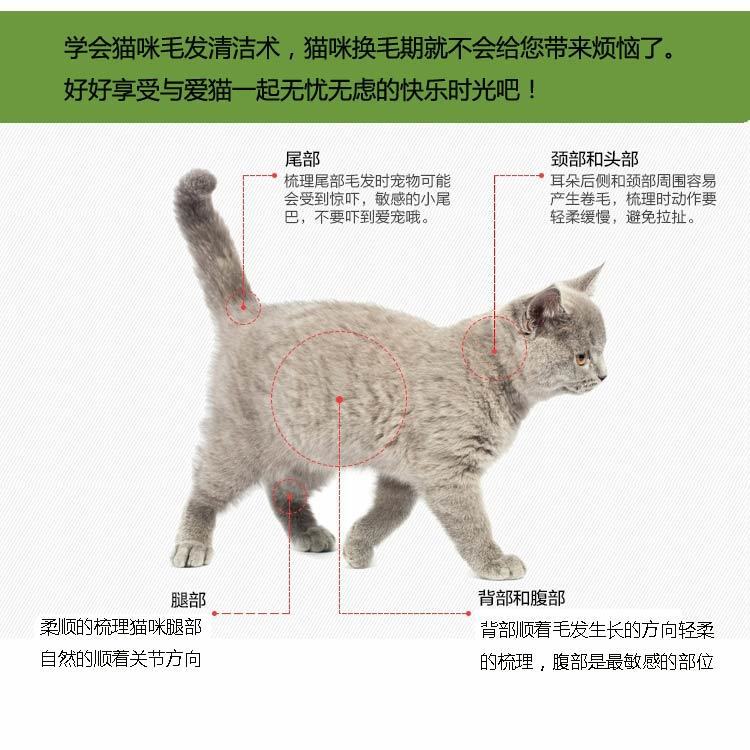 Cat Comb Hair Removal Comb Floating Hair Cat Hair Hair Removal Cleaner Pet Comb Cat Comb Cat Brush Dog Comb Cat Supplies Cat Comb Hair Removal Comb Floating Hair Cat Hair Hair Removal Cleaner Pet Comb Cat Comb Cat Brush Dog Comb Cat Supplies