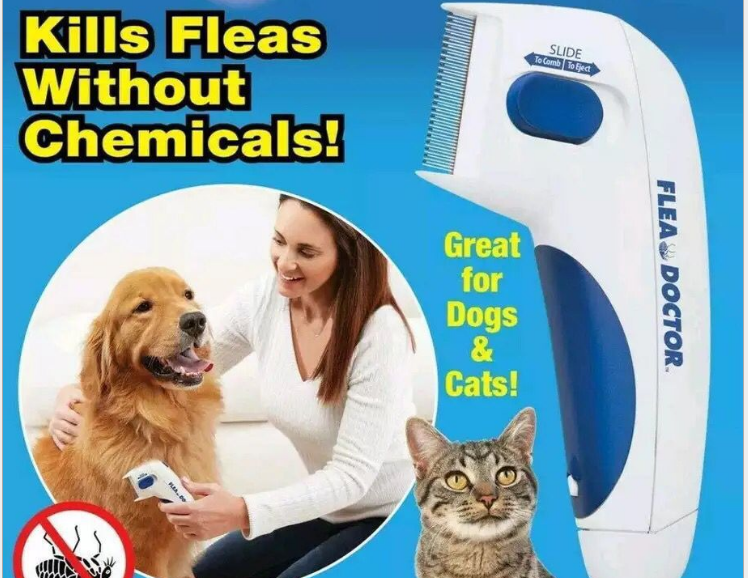 New lice remover pet products flea cleaning brush comb lice remover pet dog scratcher