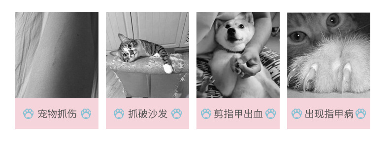 Dog Cat Nail Beauty Stainless Steel Cat and Dog Nail Clippers Pet Nail Clipper Cat and Dog Nail Clippers Set Dog Cat Nail Beauty Stainless Steel Cat and Dog Nail Clippers Pet Nail Clipper Cat and Dog Nail Clippers Set