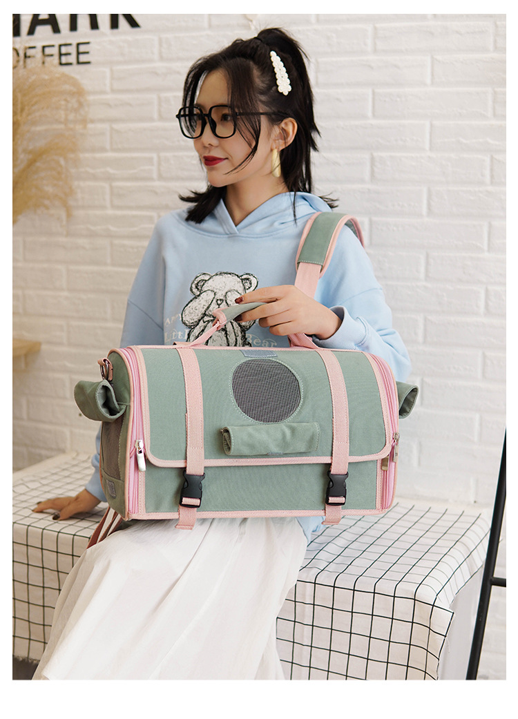 Xiaohongshu Pet Backpack Cat Supplies Handbag Pet Bag Cat Bag Outing Carry Bag Pet Backpack