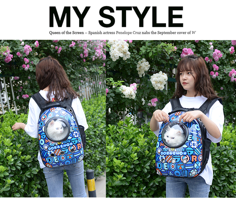 Factory Direct Sales Capsule Pet Bag Outing Carry Bag Pet Backpack Dog Bag Cat Backpack Cross-Border Exclusive