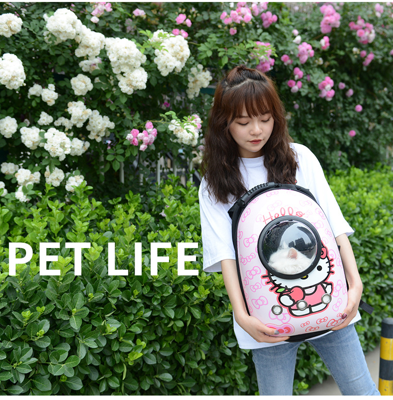 Factory Direct Sales Capsule Pet Bag Outing Carry Bag Pet Backpack Dog Bag Cat Backpack Cross-Border Exclusive