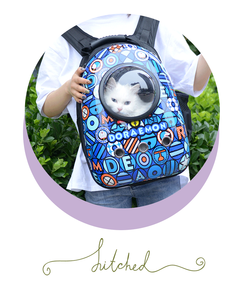 Factory Direct Sales Capsule Pet Bag Outing Carry Bag Pet Backpack Dog Bag Cat Backpack Cross-Border Exclusive