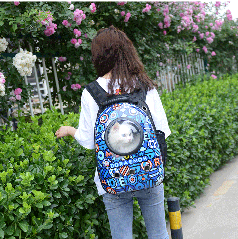 Factory Direct Sales Capsule Pet Bag Outing Carry Bag Pet Backpack Dog Bag Cat Backpack Cross-Border Exclusive