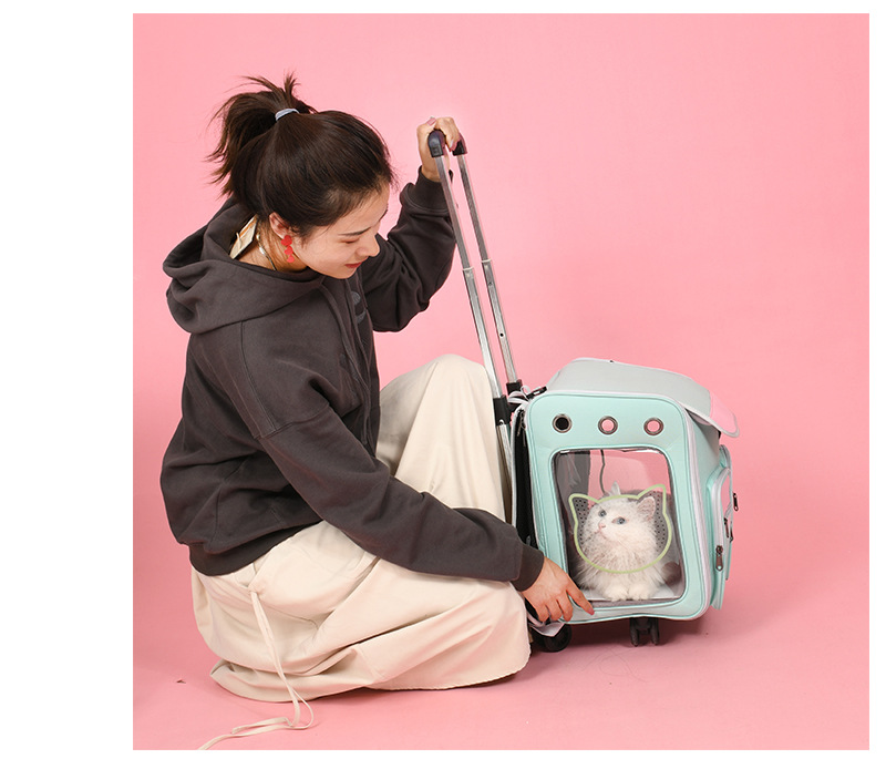 New Pet Trolley Bag Large Capacity Pet Luggage Pet Bag Dog Bag Pet Backpack Cat Bag
