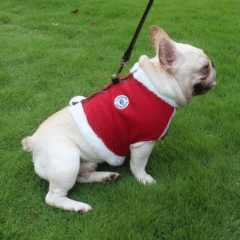 Factory direct sale of new pet chest straps breathable vest - style dog chest and back leash leash walking dog harness