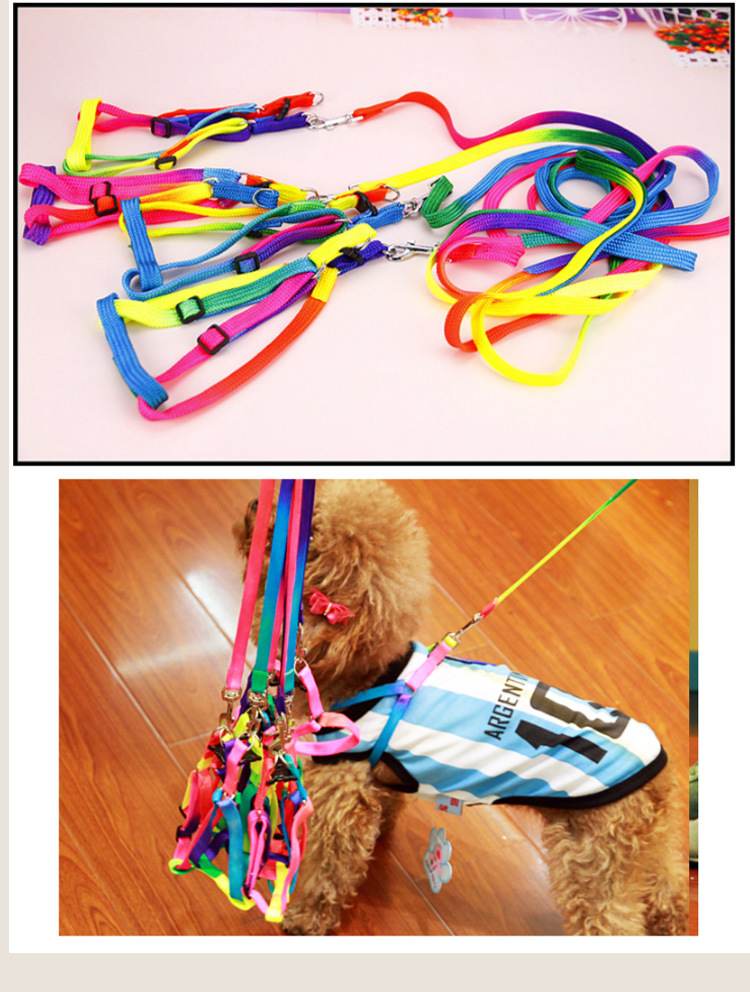 T Pet Supplies Wholesale Colorful Nylon Chest and Back Cover Hand Holding Rope Teddy Dog Leash Cat Nylon Tow Rope Hand Holding Rope