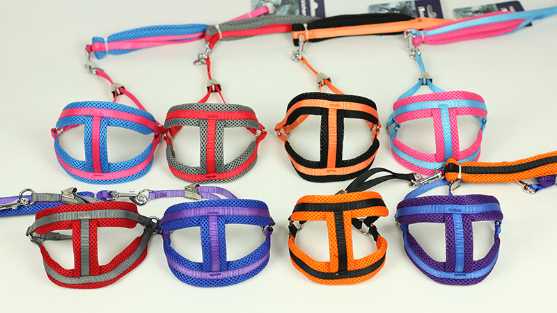 Dog Foam Chest and Back Hand Holding Rope Dog Chain Dog Leash Small Dog Medium Teddy/Pomeranian Pet Supplies