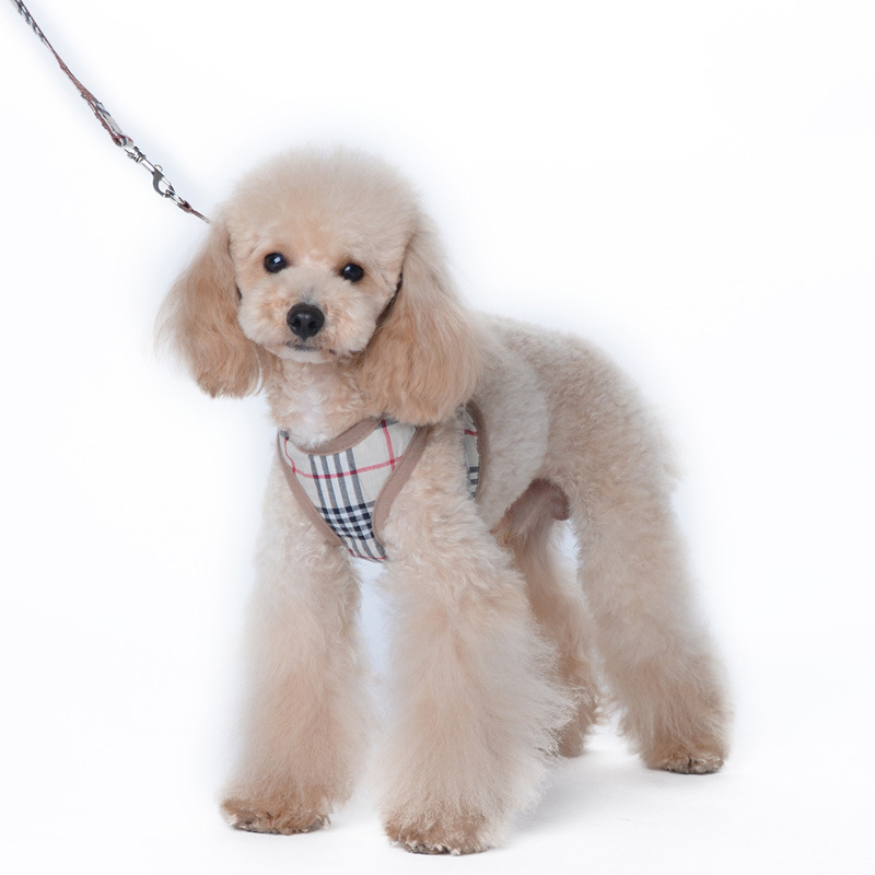 Amazon New Style Pet's Chest-Back Dog Hand Holding Rope Dog Rope out Collar Hand Holding Rope Pet Supplies Factory Amazon New Style Pet's Chest-Back Dog Hand Holding Rope Dog Rope out Collar Hand Holding Rope Pet Supplies Factory