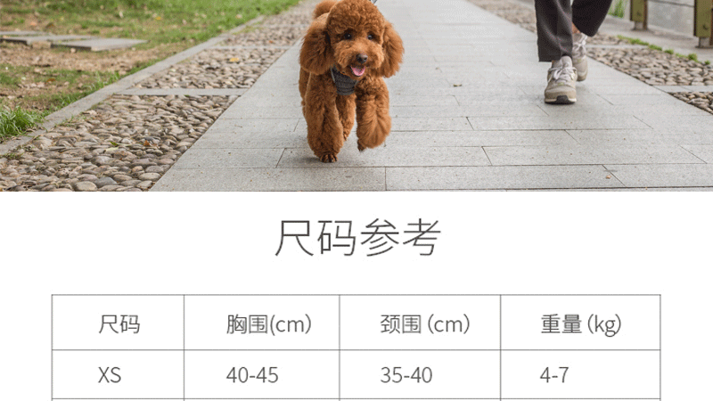 Amazon pet dog leash vest type dog leash dog chest back leash clothing Amazon pet dog leash vest type dog leash dog chest back leash clothing