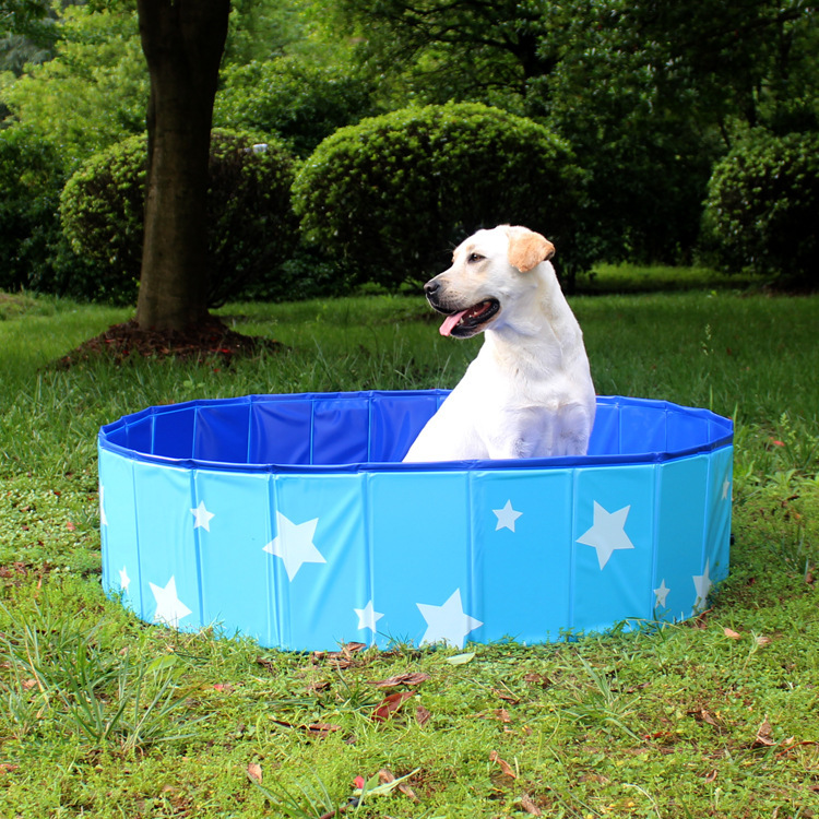 Pet Pool PVC Folding Tub Dog Bathtub Pet Supplies Dogs and Cats Bath Pool Swimming Pool Manufacturer Pet Pool PVC Folding Tub Dog Bathtub Pet Supplies Dogs and Cats Bath Pool Swimming Pool Manufacturer