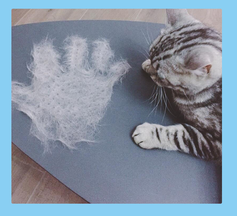 Cat Petting Hair Removal Gloves Bath Massage Pet Brushing Gloves Cleaning products Cat Petting Hair Removal Gloves Bath Massage Pet Brushing Gloves Cleaning products
