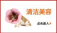 Pet Nest Factory Lucky Little Dutch Pig Guinea Pig Cotton Pet Nest Chihuahua Kennel Rabbit Mini Small Pet Nest