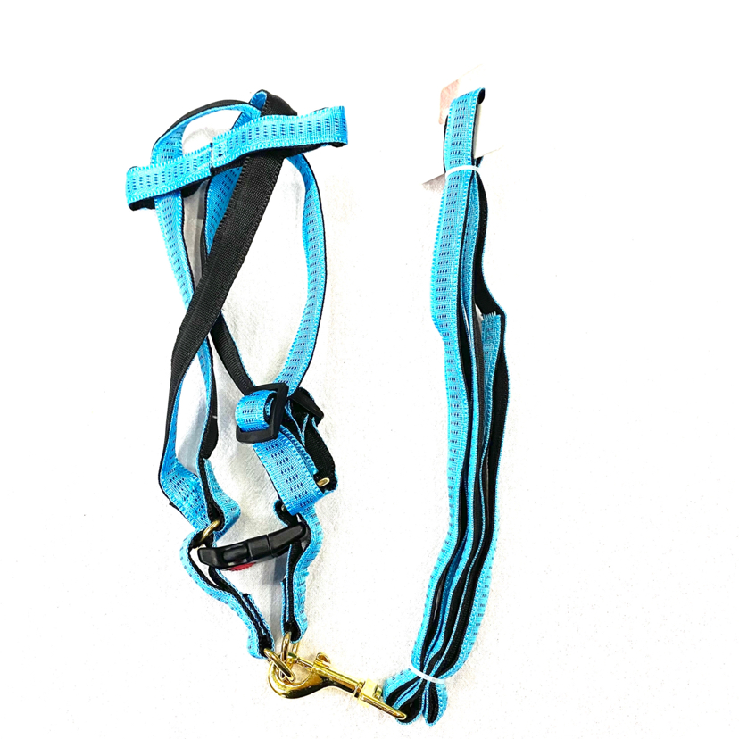 Pet Chain Silver Silk Bandlet Hand Holding Rope 5 Colors Mixed Pet Chain Silver Silk Bandlet Hand Holding Rope 5 Colors Mixed