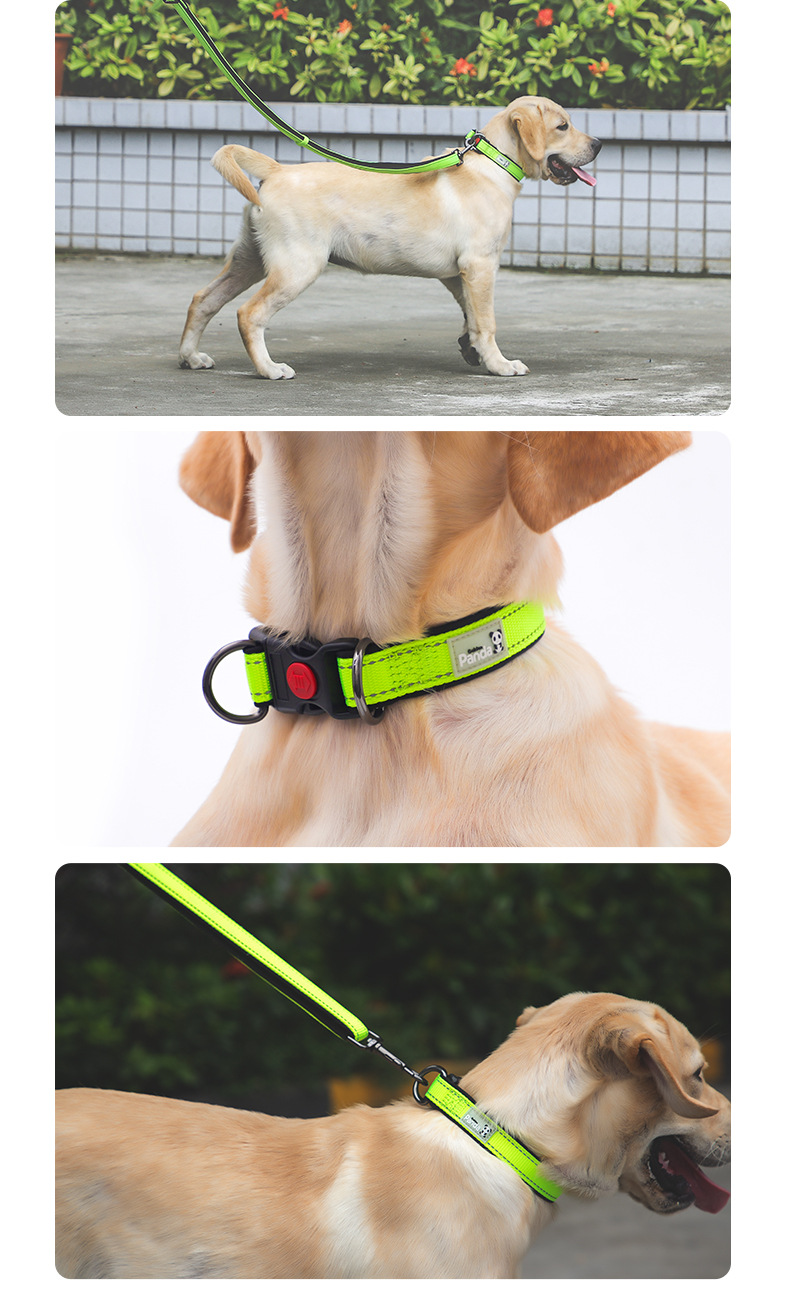 Factory Direct Sales Hot Sale Luminous Reflective Hand Holding Rope Nylon Bandana Double D Buckle Adjustable Dog Collar Pet Rope Wholesale