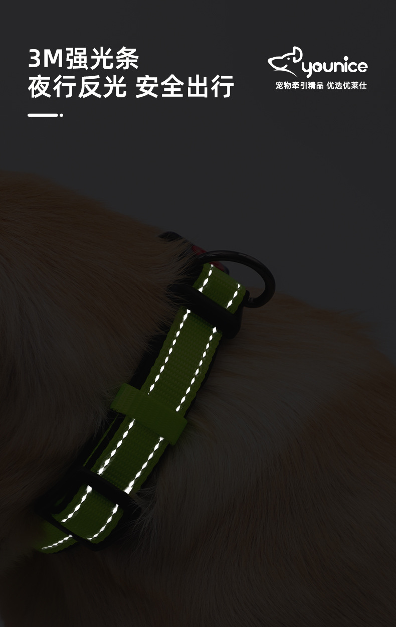 Factory Direct Sales Hot Sale Luminous Reflective Hand Holding Rope Nylon Bandana Double D Buckle Adjustable Dog Collar Pet Rope Wholesale