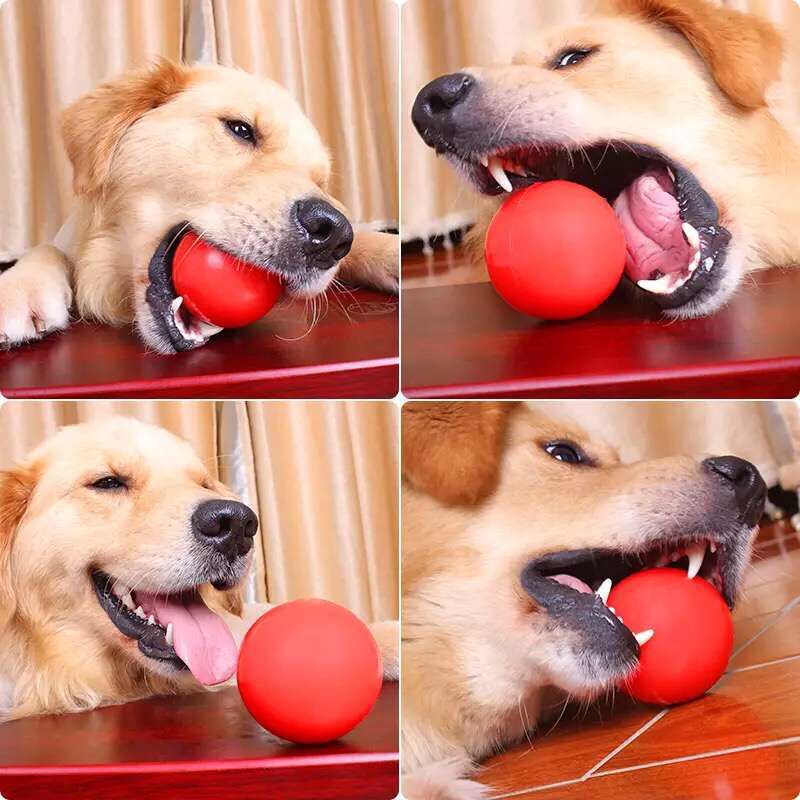 Pet Rope Elastic Ball Rubber Solid Bite Ball Large, Medium and Small Dog Training Ball Dog Training Pet Toy Pet Rope Elastic Ball Rubber Solid Bite Ball Large, Medium and Small Dog Training Ball Dog Training Pet Toy
