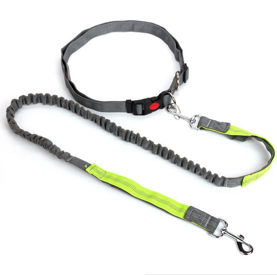 Amazon Pet Supplies Explosion-Proof Elastic Nylon Pet Running Hand Holding Rope Pet Rope in Stock Wholesale