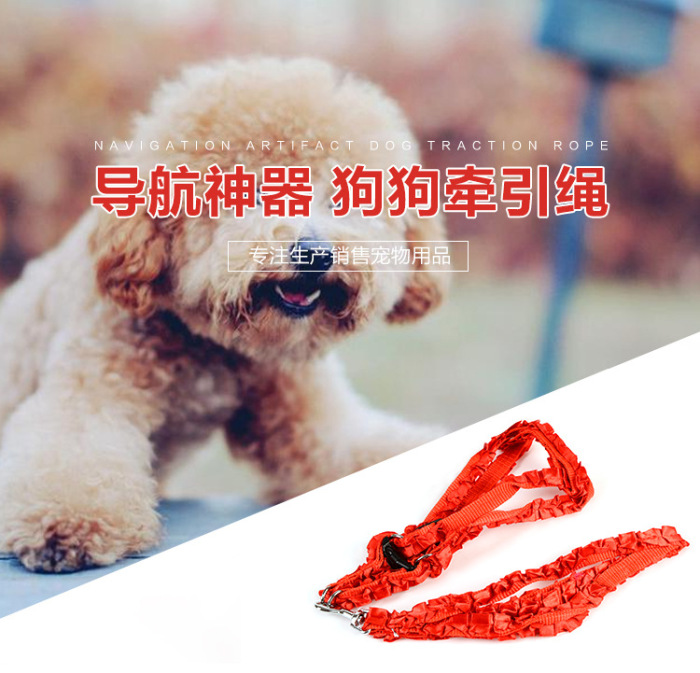 Manufacturer wholesaling pet rope satin cute small and small dogs pulling rope teddy bomei dog suit chest strap. Manufacturer wholesaling pet rope satin cute small and small dogs pulling rope teddy bomei dog suit chest strap.