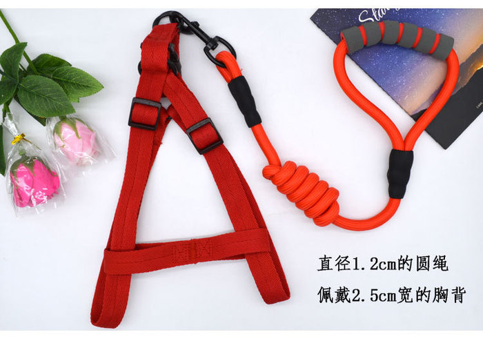 Pet rope pure color hot style dog chest strap set teddy golden hair comfortable soft traction rope factory direct sale. Pet rope pure color hot style dog chest strap set teddy golden hair comfortable soft traction rope factory direct sale.