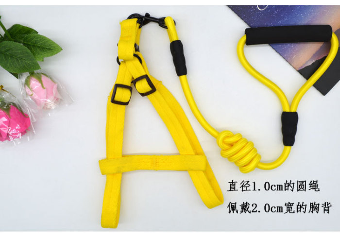 Pet rope pure color hot style dog chest strap set teddy golden hair comfortable soft traction rope factory direct sale. Pet rope pure color hot style dog chest strap set teddy golden hair comfortable soft traction rope factory direct sale.
