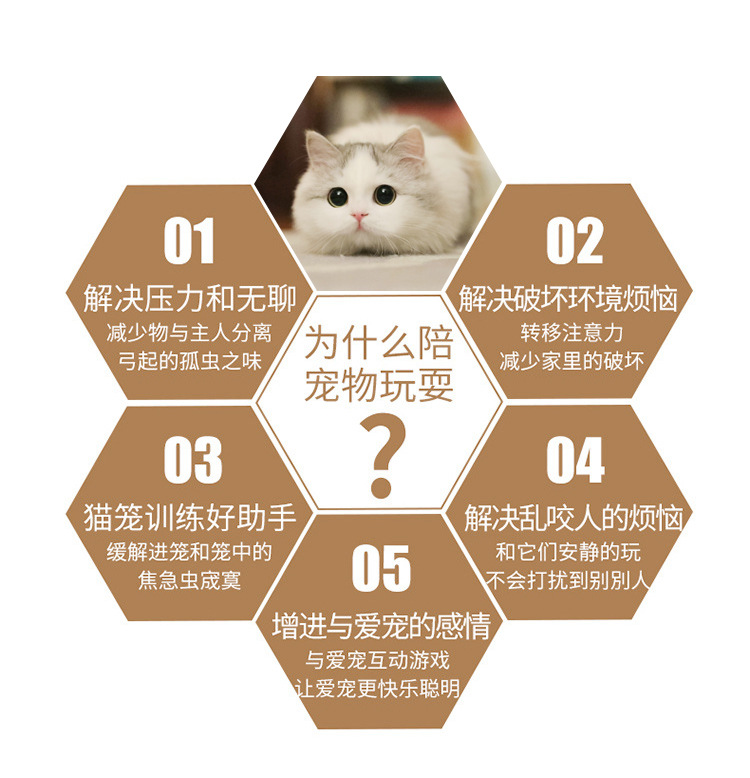 USB Rechargeable Laser Cat Teaser Multi-Pattern Amazon Cat Toy Pet Supplies Toy Funny Cat Pen USB Rechargeable Laser Cat Teaser Multi-Pattern Amazon Cat Toy Pet Supplies Toy Funny Cat Pen