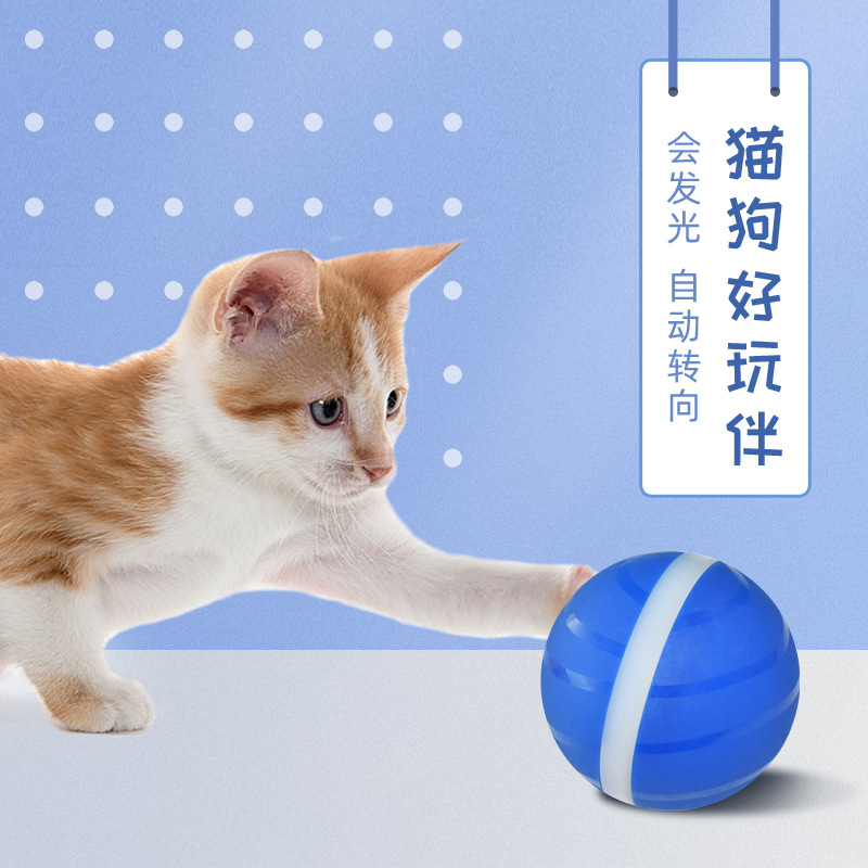 Amazon TikTok Cat Toy Electric Pet Ball USB Charging Dogs and Cats Toy Dormant Luminous Ball Manufacturer