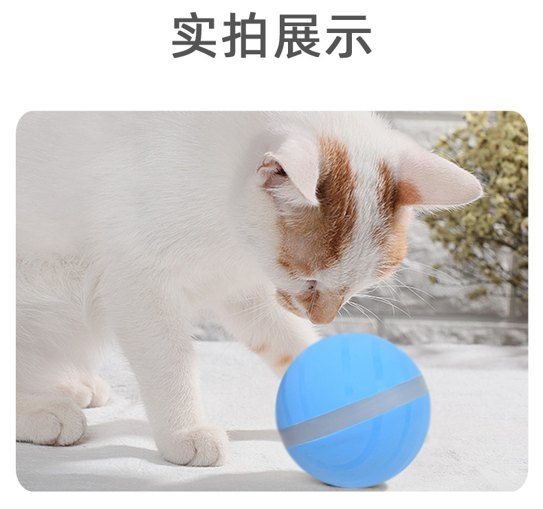 Amazon TikTok Cat Toy Electric Pet Ball USB Charging Dogs and Cats Toy Dormant Luminous Ball Manufacturer Amazon TikTok Cat Toy Electric Pet Ball USB Charging Dogs and Cats Toy Dormant Luminous Ball Manufacturer
